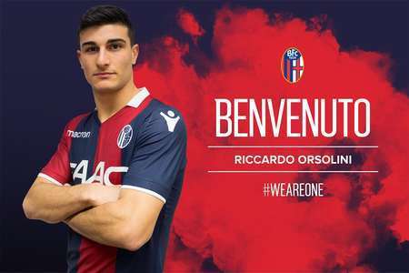 果与专业度 果与专业度